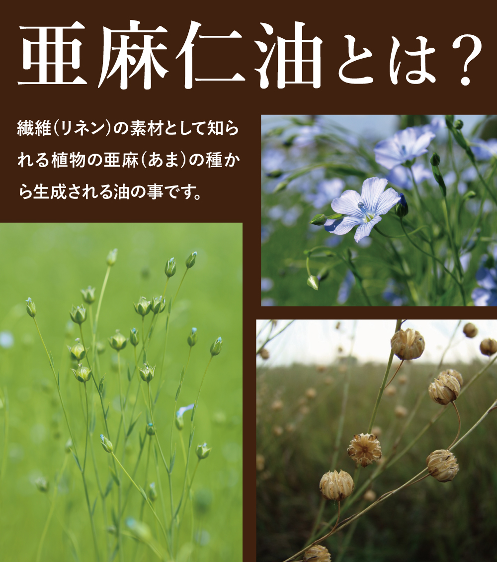 亜麻仁油とは?繊維の素材として知られる植物の麻(あさ)(亜麻)の種から生成される油の事です。