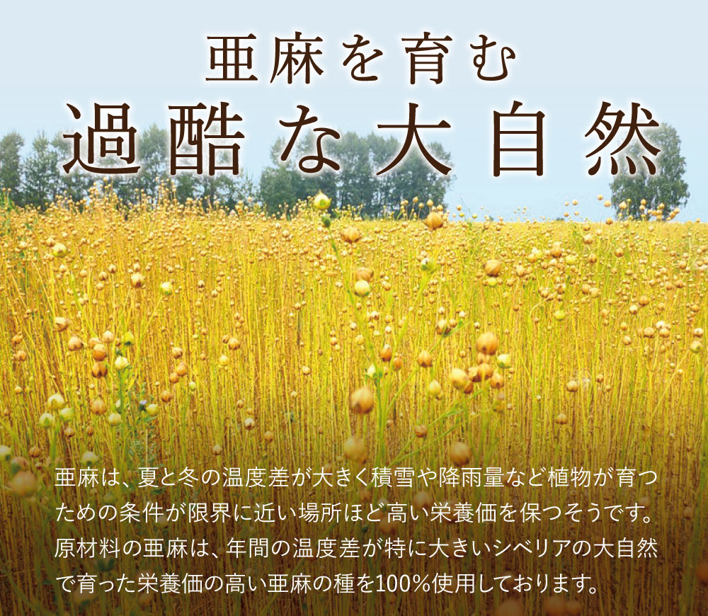 亜麻を育む過酷な大自然。亜麻は、夏と冬の温度差が大きく積雪や降雨量など植物が育つための条件が限界に近い場所ほど高い栄養価を保つそうです。原材料の亜麻は、年間の温度差が特に大きいシベリアの大自然で育った栄養価の高い亜麻の種を100%使用しております。