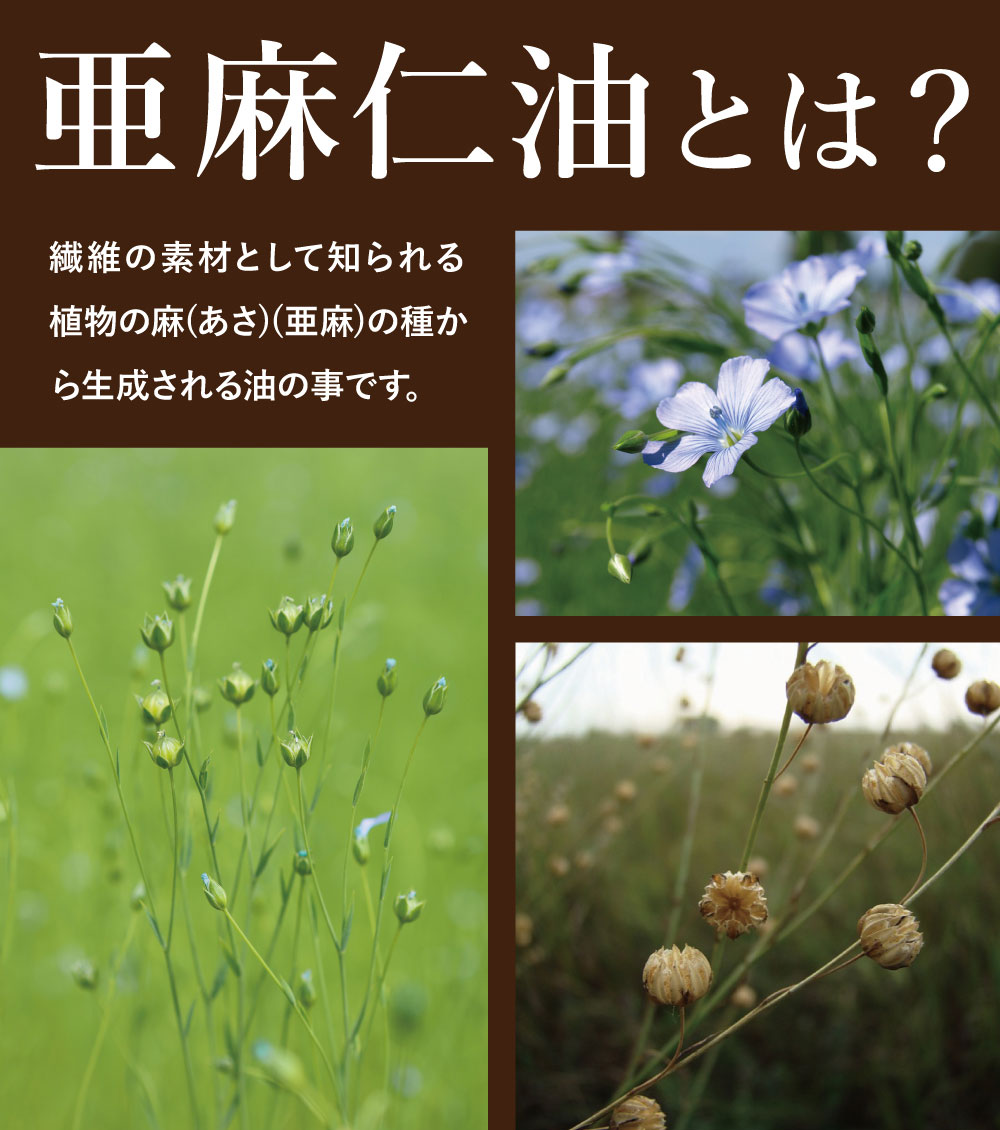 亜麻仁油 オメガ３系 60包 30包x2個 送料無料 健康 野草茶センター