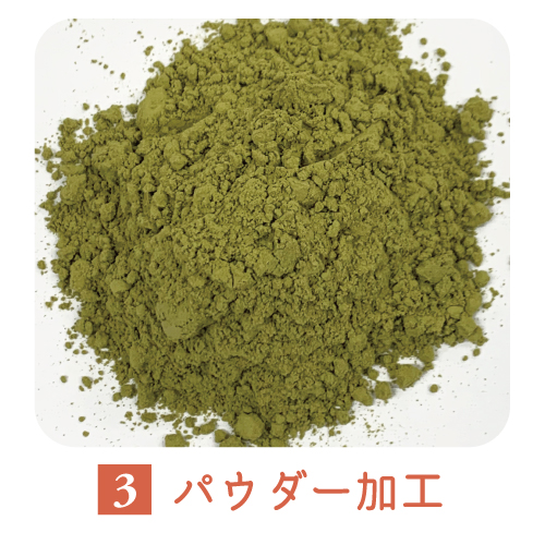 松葉パウダーの製造工程1