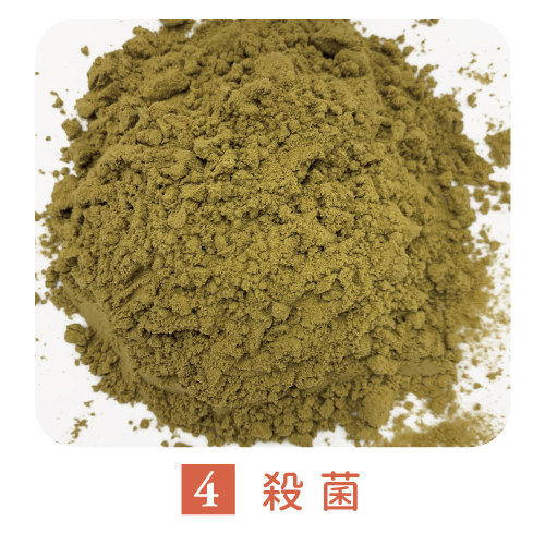 松葉パウダーの製造工程1