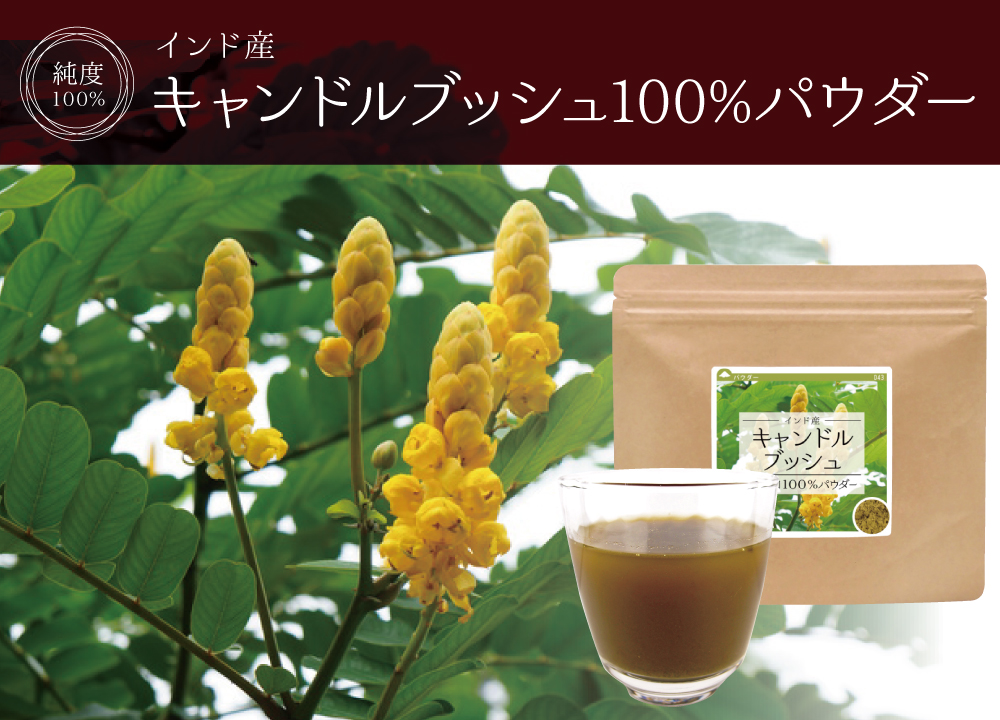 キャンドルブッシュ純度100%パウダー(インド産)