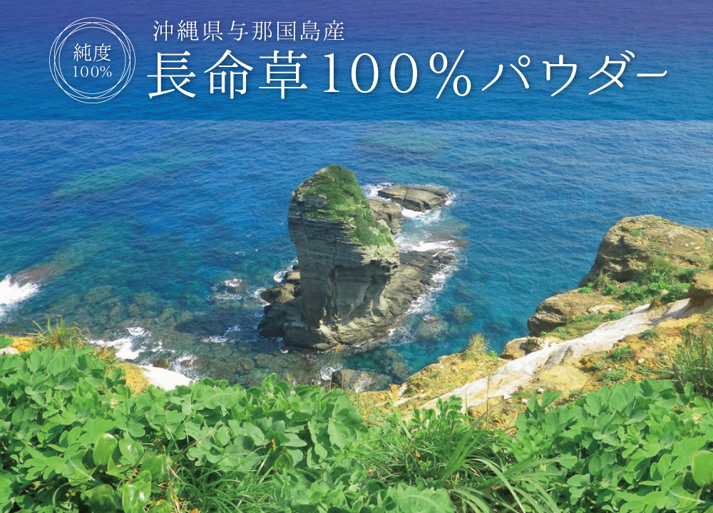 長命草純度100%パウダー(沖縄県与那国島産)