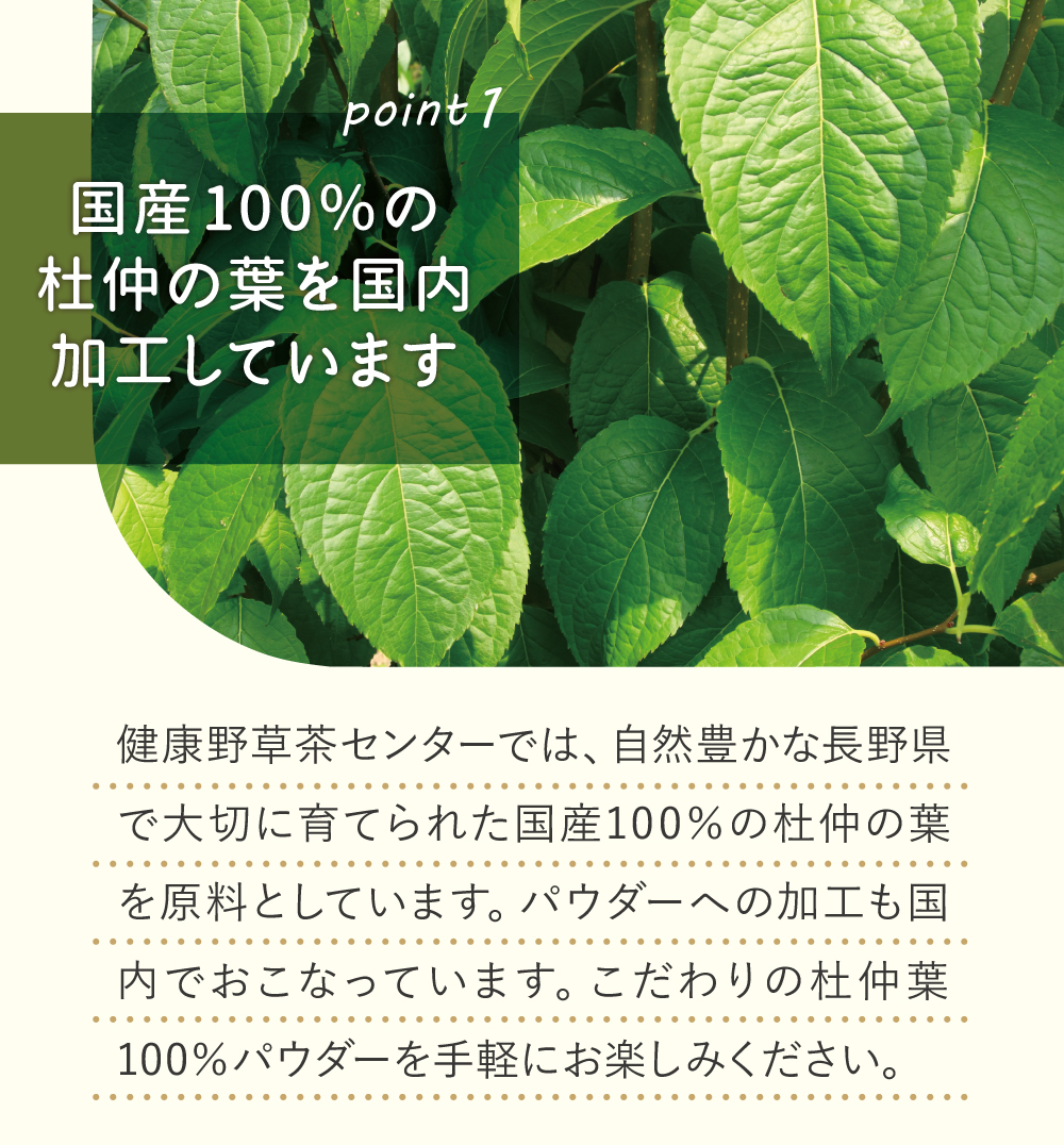 国産100%の杜仲の葉を国内加工しています