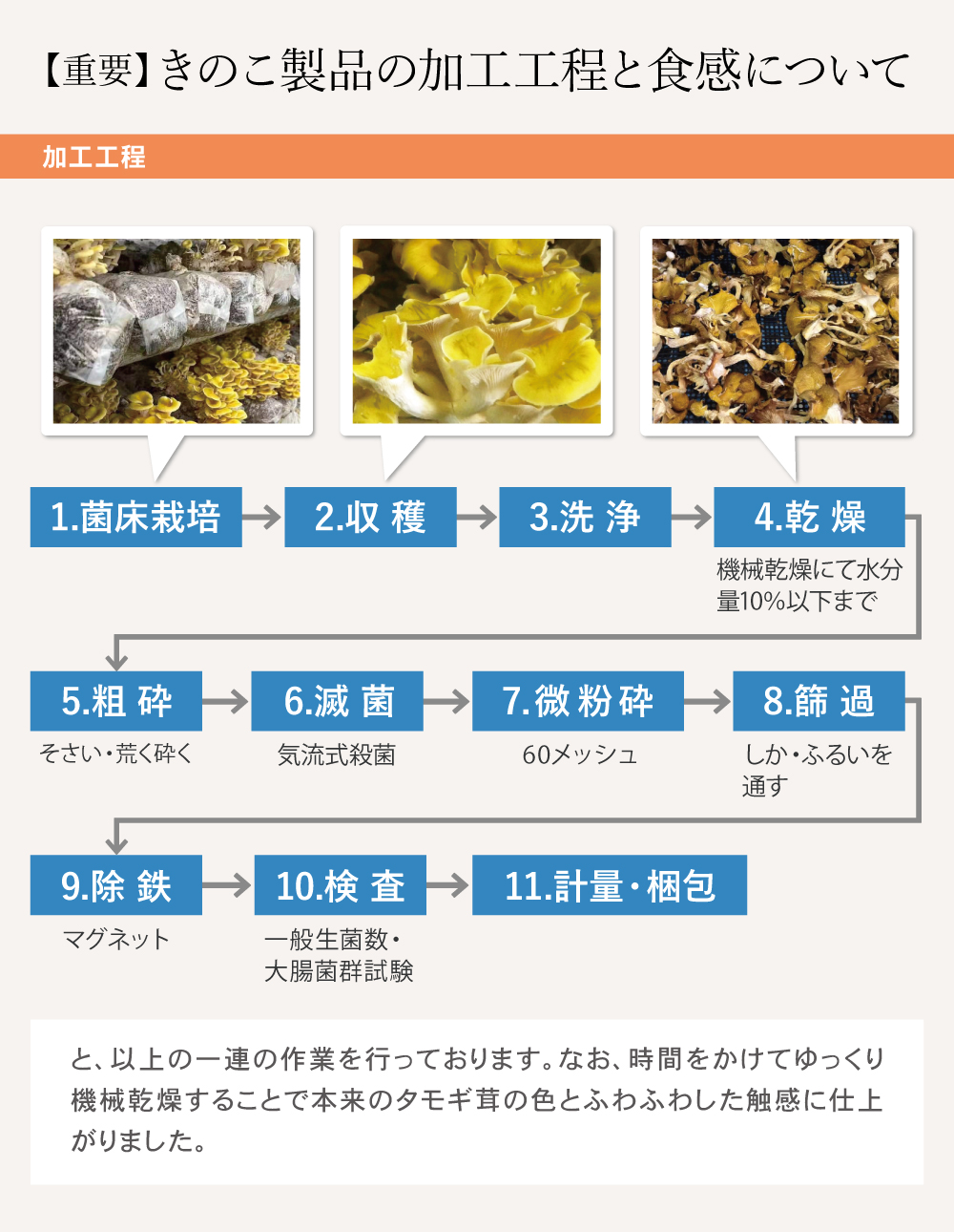 【重要】きのこ製品の加工工程と食感について