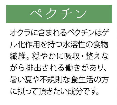 オクラには栄養がいっぱい