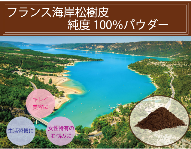 フランス海岸松樹皮純度100%パウダー