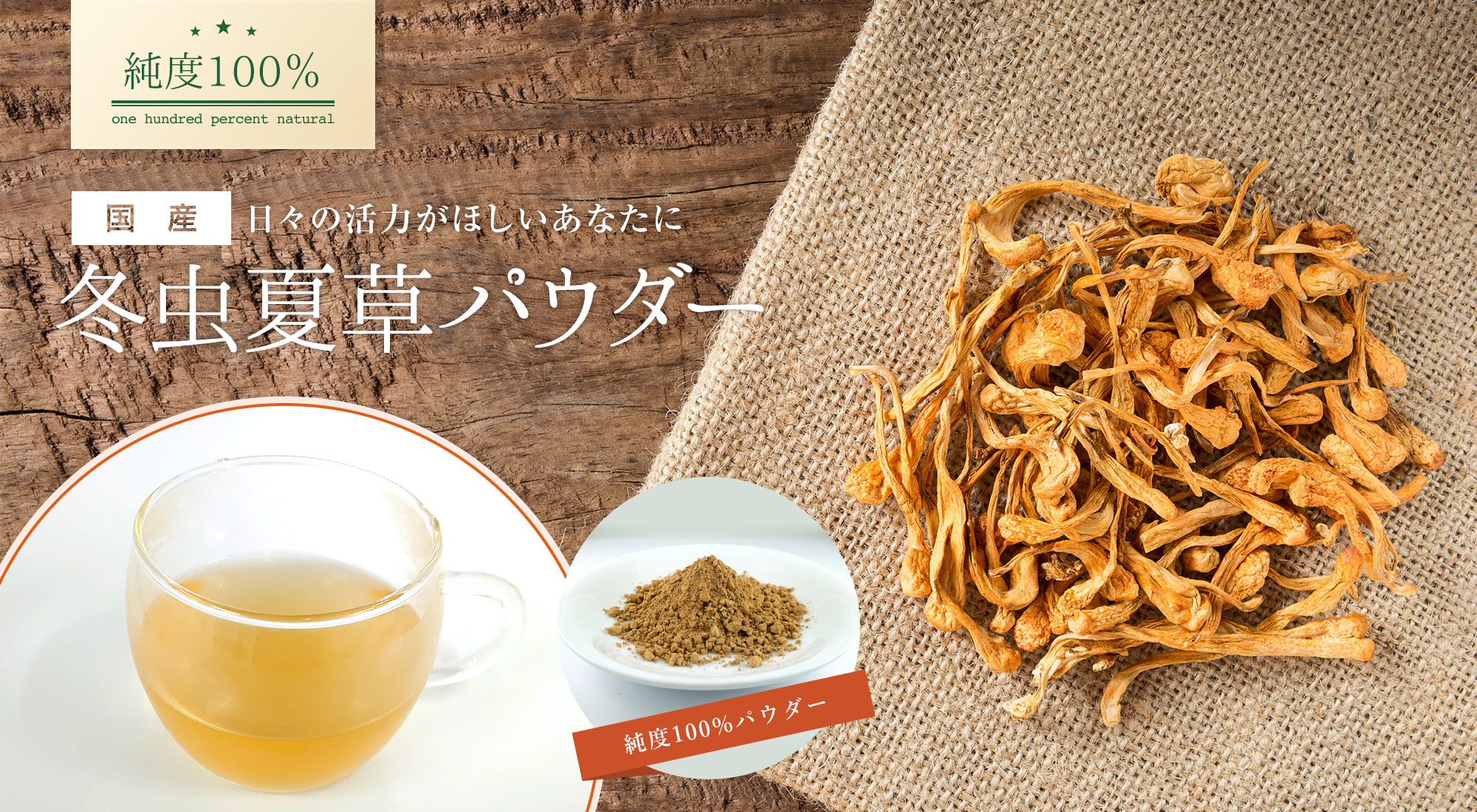 国産冬虫夏草 純度100%パウダー