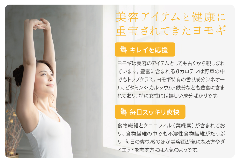 美容と健康に重宝されてきたヨモギ
