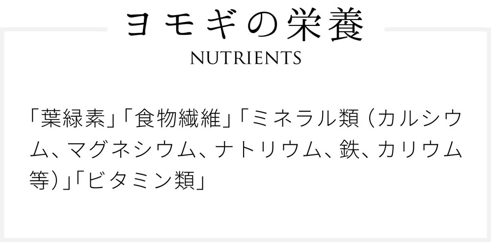 ヨモギの栄養