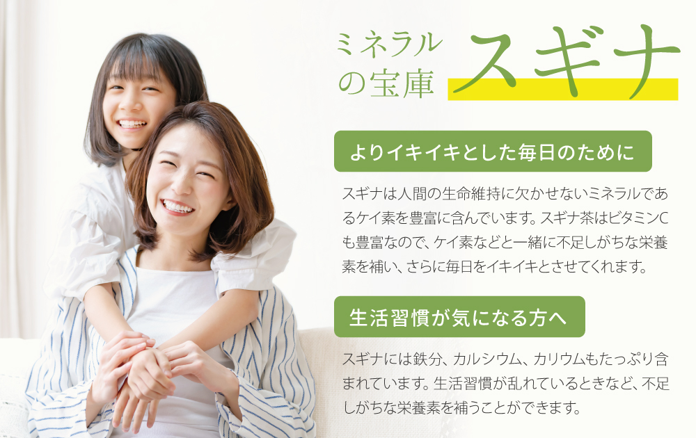 ミネラルの宝庫、スギナ