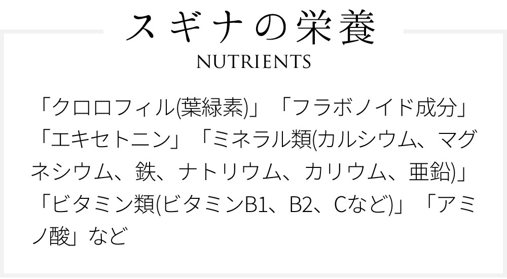「クロロフィル(葉緑素)」「フラボノイド成分」「エキセトニン」「ミネラル類(カルシウム、マグネシウム、鉄、ナトリウム、カリウム、亜鉛)」「ビタミン類(ビタミンB1、B2、Cなど)」「アミノ酸」など