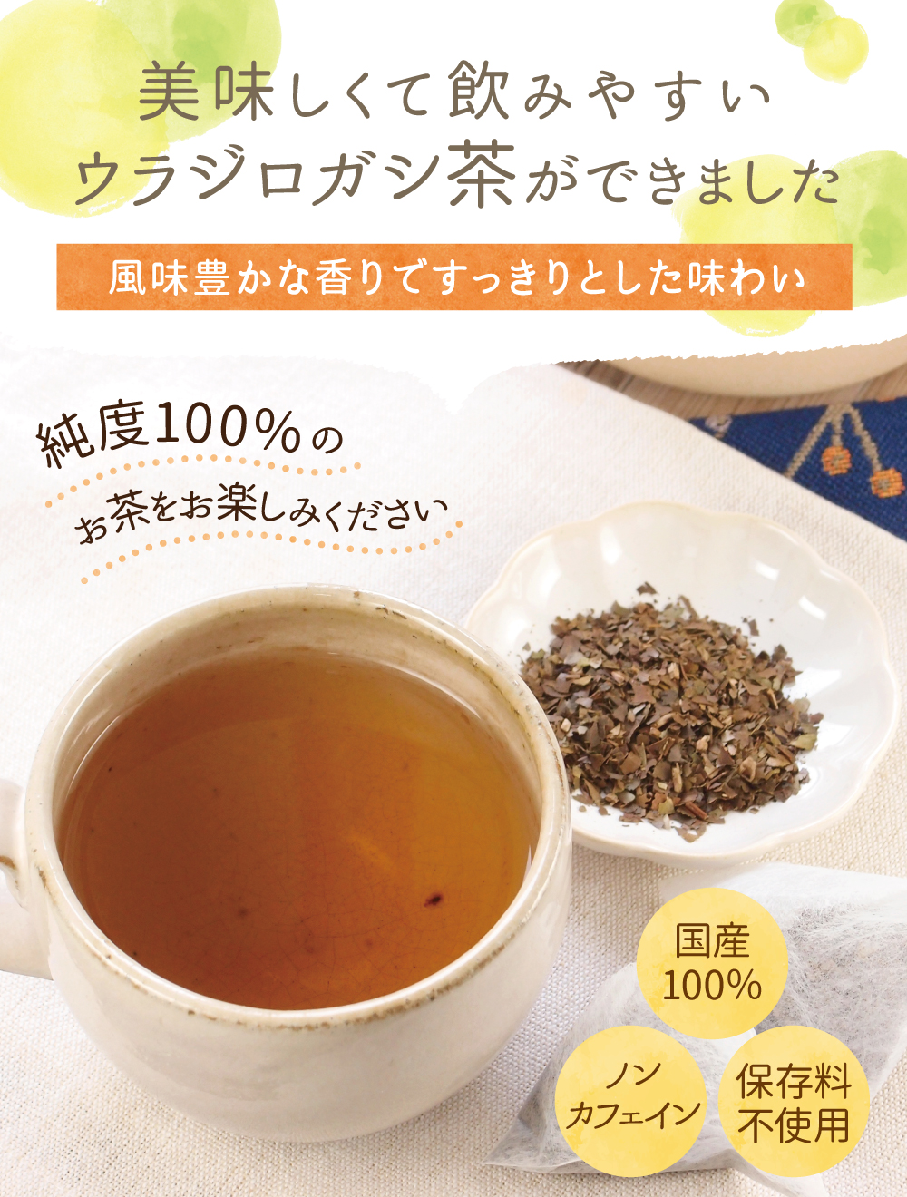 美味しくて飲みやすいウラジロガシ茶ができました