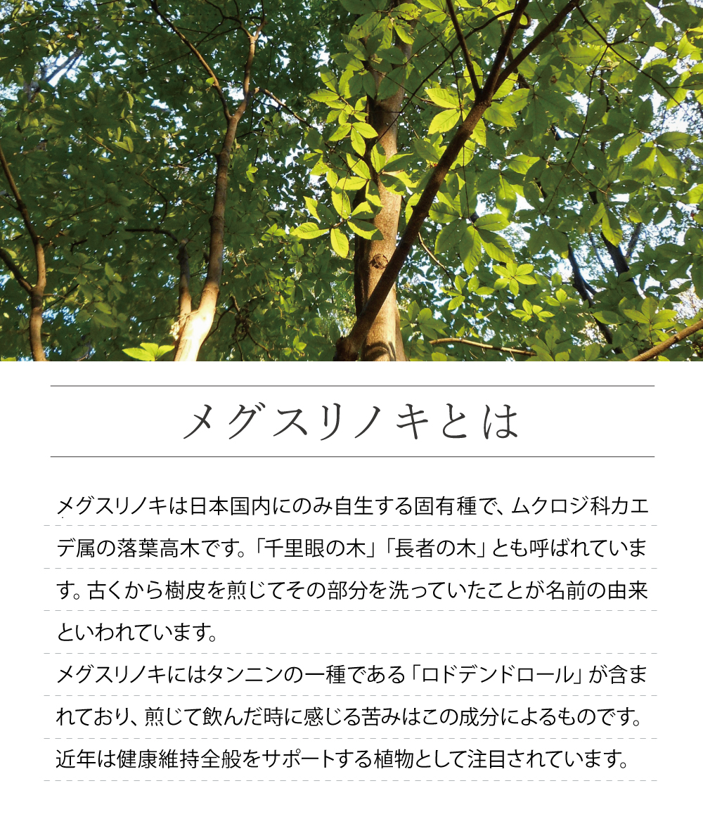 メグスリノキとは。メグスリノキは日本国内にのみ自生する固有種で、ムクロジ科カエデ属の落葉高木です。「千里眼の木」「長者の木」とも呼ばれています。古くから樹皮を煎じてその部分を洗っていたことが名前の由来といわれています。
メグスリノキにはタンニンの一種である「ロドデンドロール」が含まれており、煎じて飲んだ時に感じる苦みはこの成分によるものです。近年は健康維持全般をサポートする植物として注目されています。