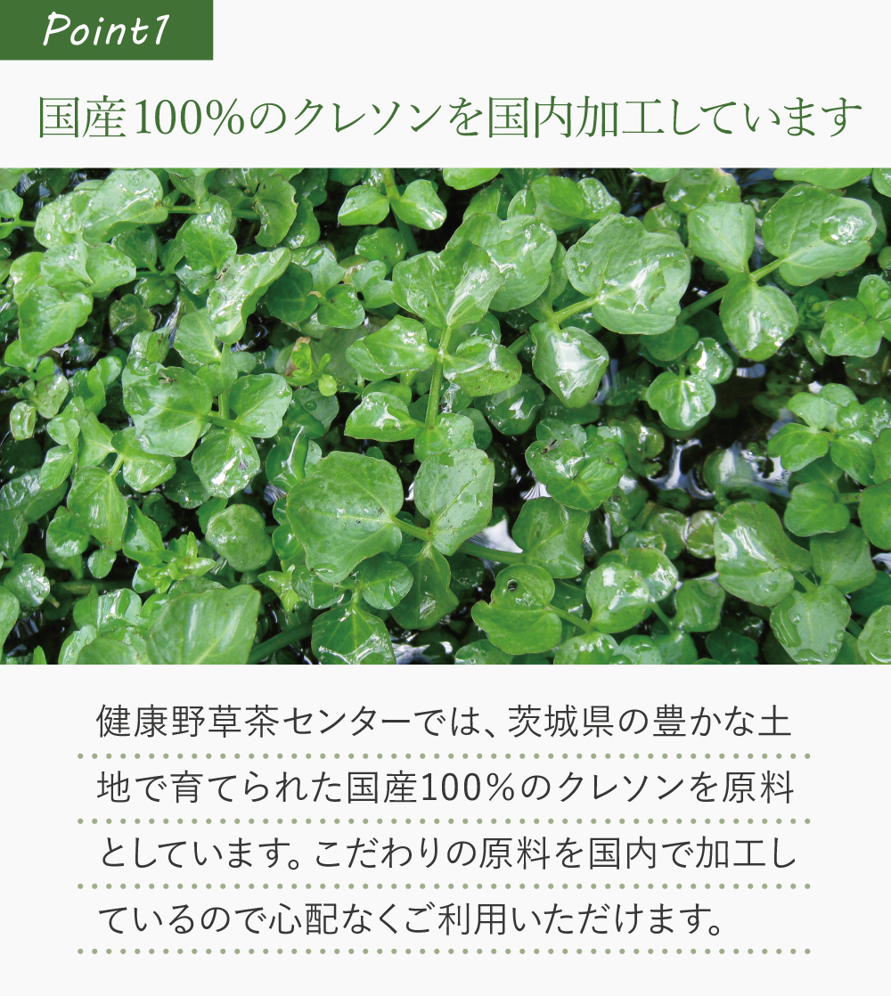 国産100%のクレソンを国内加工しています